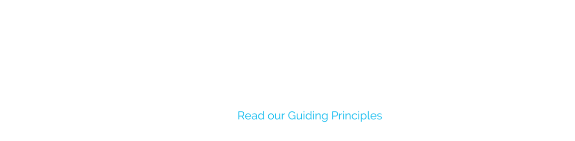 Advocate for and promote equitable opportunities